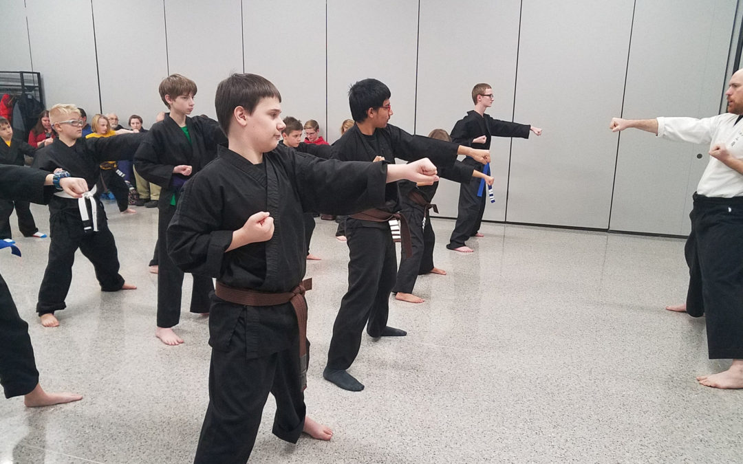 Category: General Intermediate Karate Class